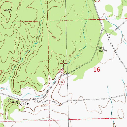 Topographic Map of Gwynn Cienega, NM
