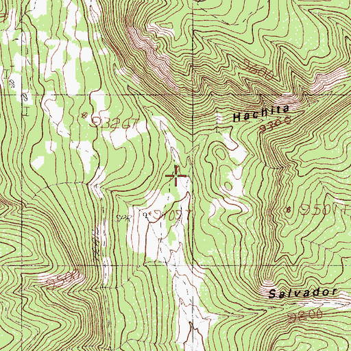 Topographic Map of Hachita Canyon, NM