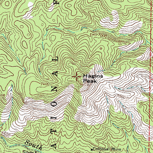 Topographic Map of Hagins Peak, NM