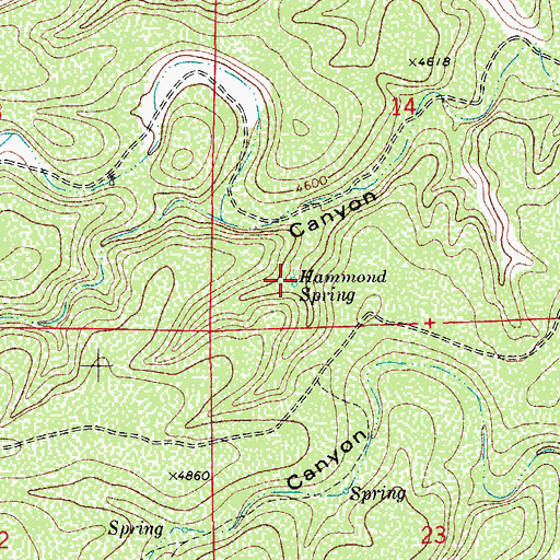 Topographic Map of Hammond Spring, NM