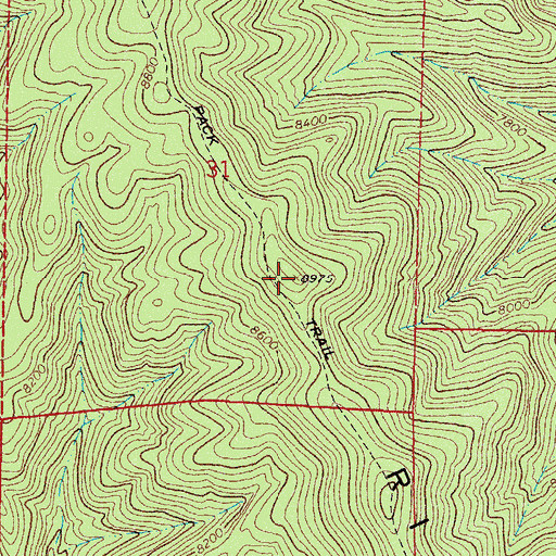 Topographic Map of Hardy Ridge, NM