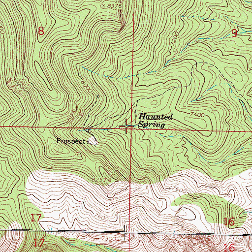Topographic Map of Haunted Spring, NM