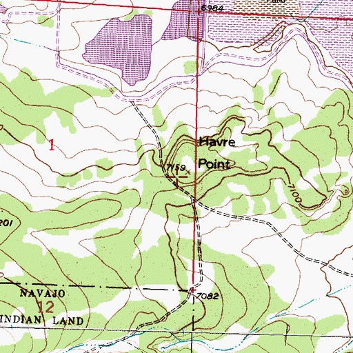 Topographic Map of Havre Point, NM