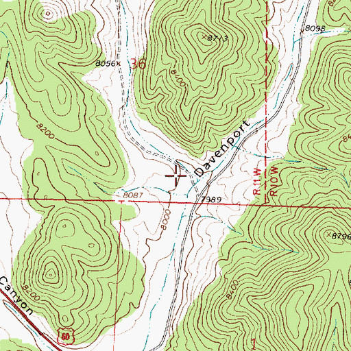 Topographic Map of Hay Canyon, NM