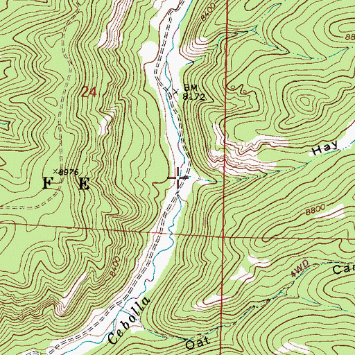 Topographic Map of Hay Canyon, NM