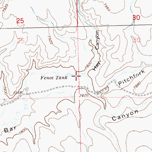 Topographic Map of Hay Canyon, NM