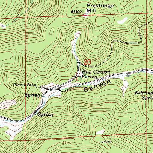 Topographic Map of Hay Canyon Spring, NM