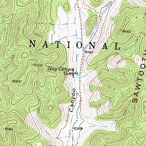 Topographic Map of Hay Canyon Tank, NM