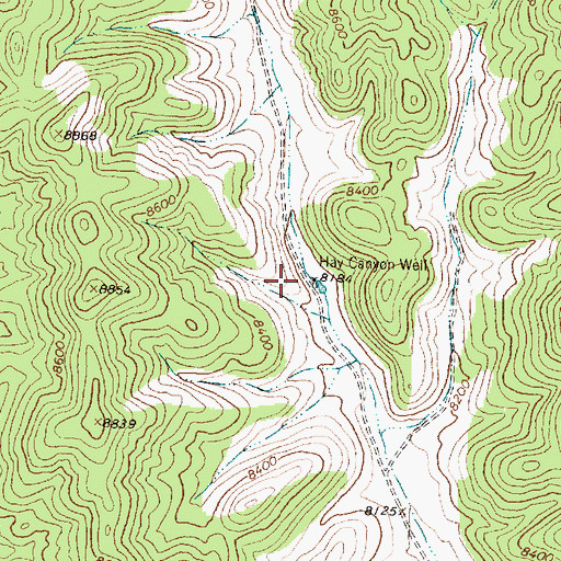 Topographic Map of Hay Canyon Well, NM