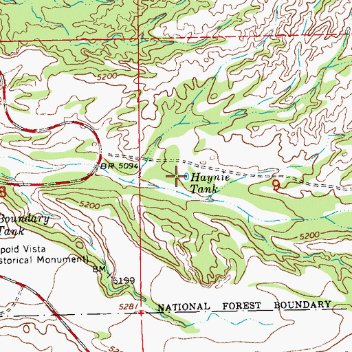 Topographic Map of Haynie Tank, NM