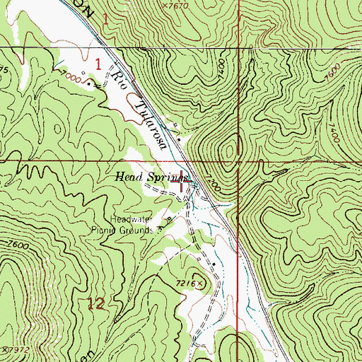 Topographic Map of Head Springs, NM