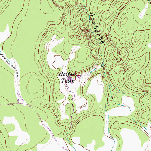 Topographic Map of Heifer Tank, NM