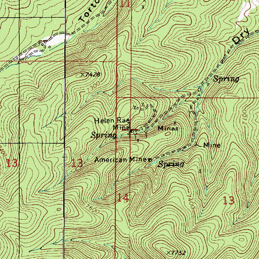 Topographic Map of Helen Rae Mine, NM