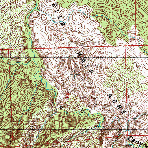 Topographic Map of Hells Half Acre, NM