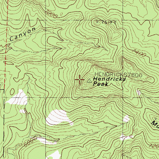 Topographic Map of Hendricks Peak, NM