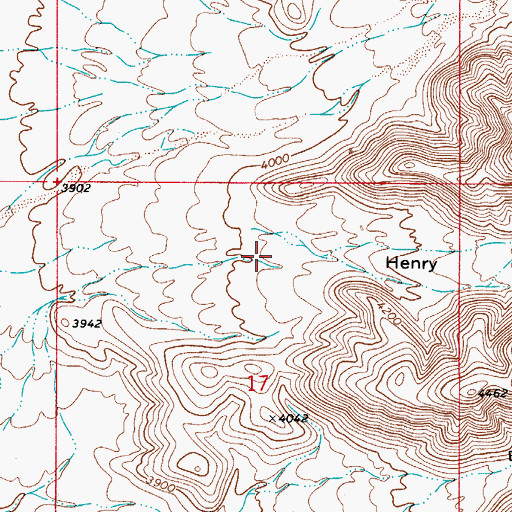 Topographic Map of Henry Canyon, NM