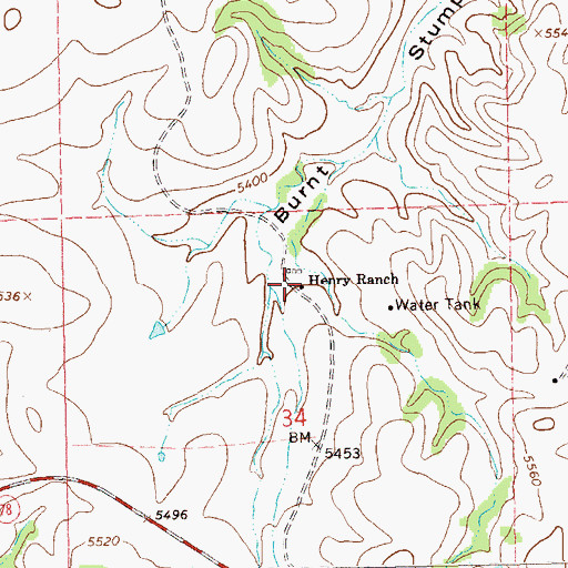 Topographic Map of Henry Ranch, NM