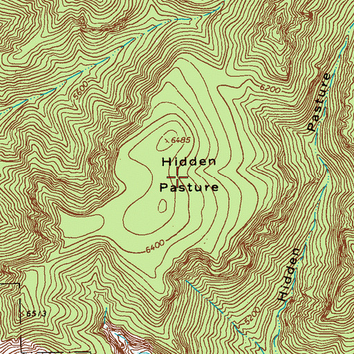 Topographic Map of Hidden Pasture, NM