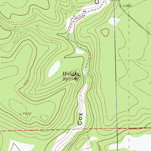 Topographic Map of Hidden Spring, NM