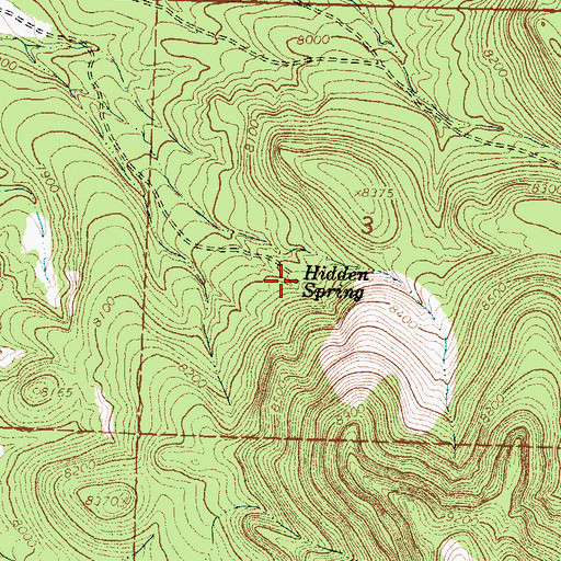 Topographic Map of Hidden Spring, NM