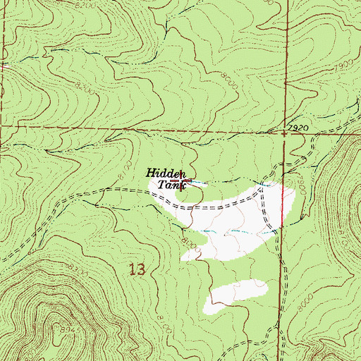 Topographic Map of Hidden Tank, NM