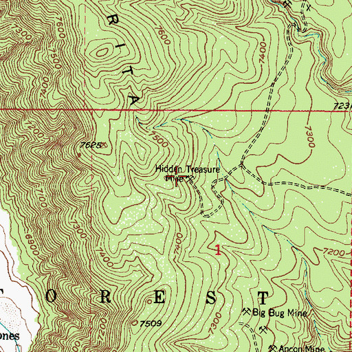Topographic Map of Hidden Treasure Mine, NM