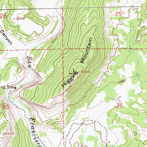 Topographic Map of Higgins Mountain, NM
