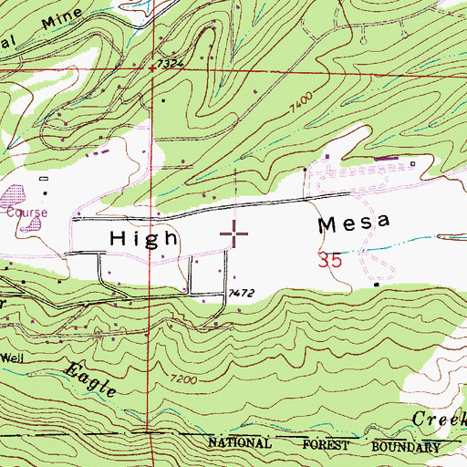 Topographic Map of High Mesa, NM