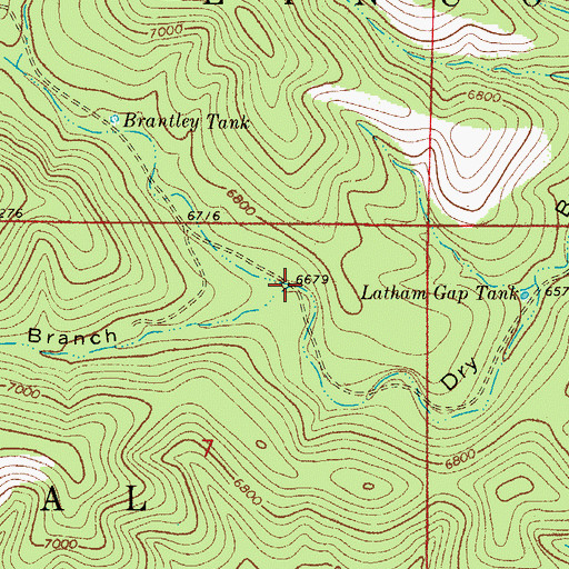 Topographic Map of Hog Branch, NM