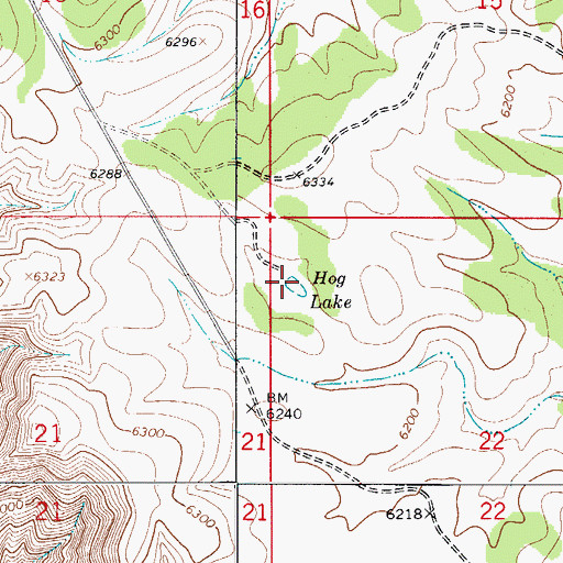 Topographic Map of Hog Lake, NM