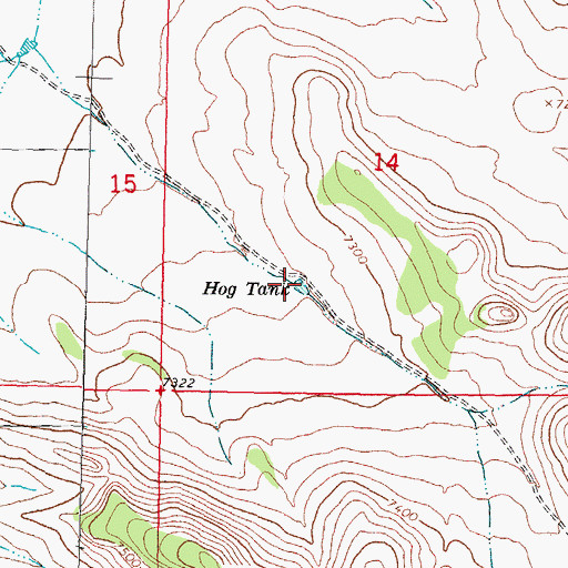 Topographic Map of Hog Tank, NM