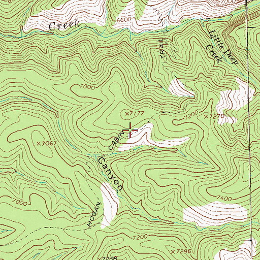 Topographic Map of Hogan Cabin Trail, NM