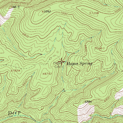 Topographic Map of Hogan Spring, NM