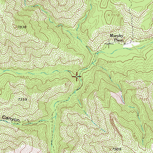 Topographic Map of Holden Prong, NM