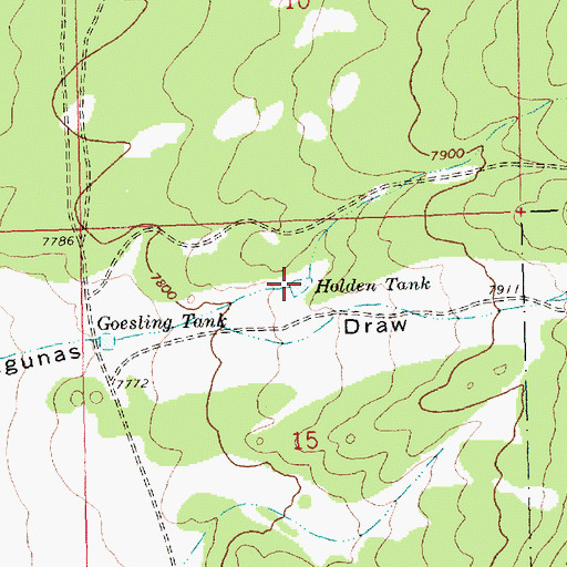 Topographic Map of Holden Tank, NM