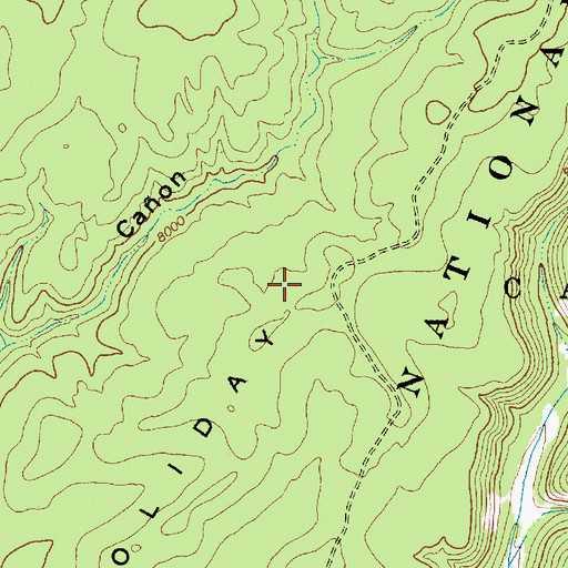 Topographic Map of Holiday Mesa, NM