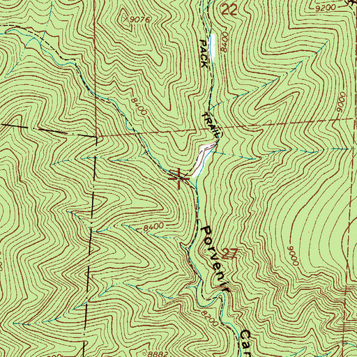 Topographic Map of Hollinger Canyon, NM