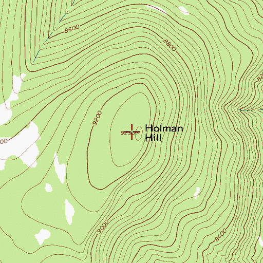 Topographic Map of Holman Hill, NM