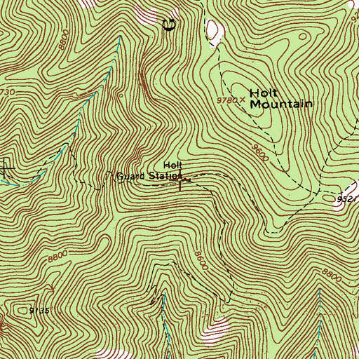 Topographic Map of Holt Guard Station, NM