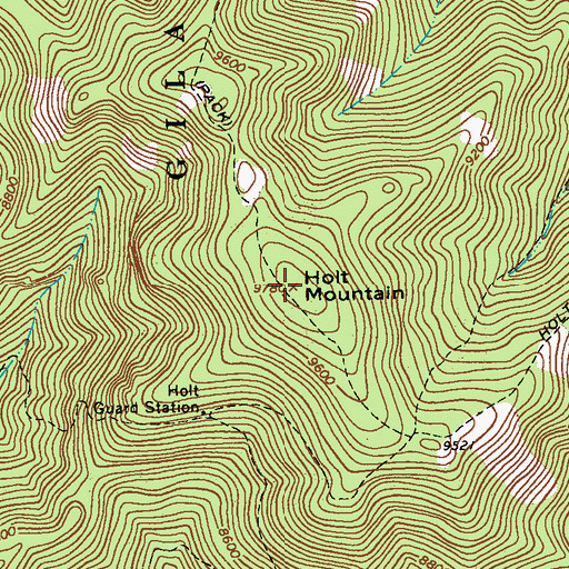 Topographic Map of Holt Mountain, NM