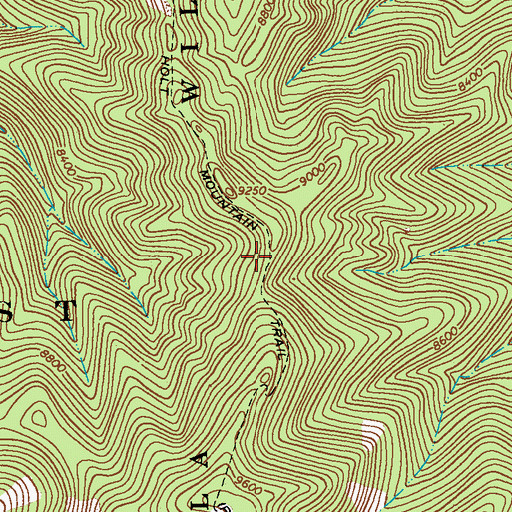 Topographic Map of Holt Mountain Trail, NM