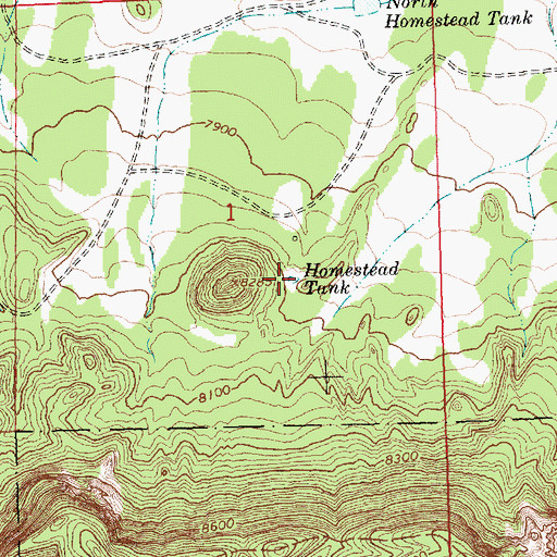 Topographic Map of Homestead Tank, NM