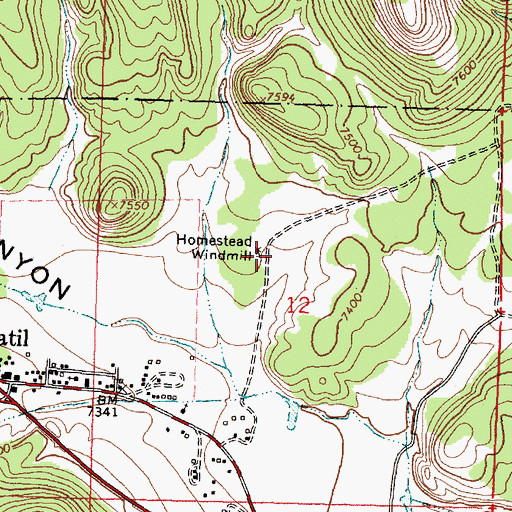 Topographic Map of Homestead Windmill, NM