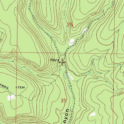 Topographic Map of Hondo Canyon, NM