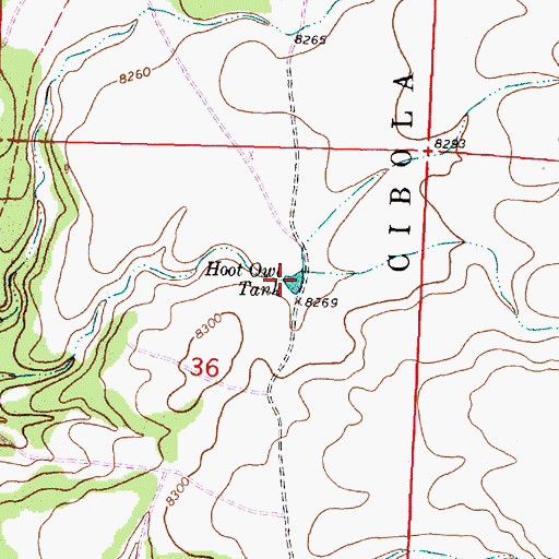 Topographic Map of Hoot Owl Tank, NM