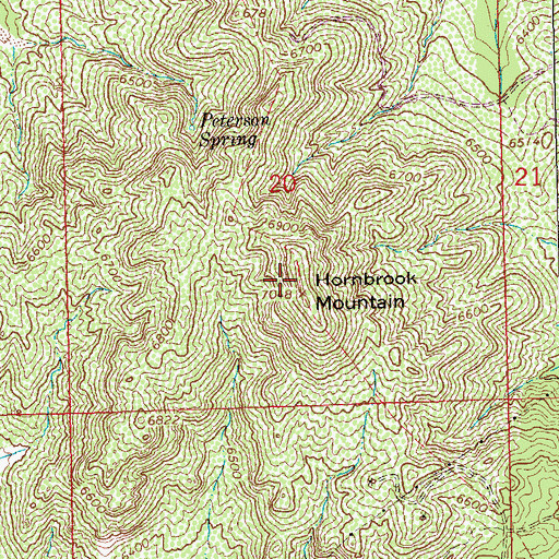 Topographic Map of Hornbrook Mountain, NM