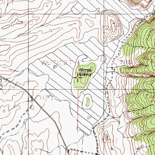 Topographic Map of Horse Island, NM