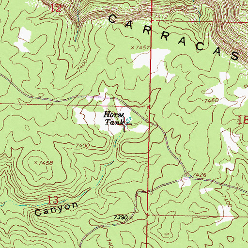 Topographic Map of Horse Tank, NM