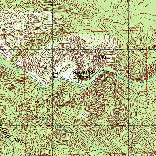 Topographic Map of Horseshoe Bend, NM