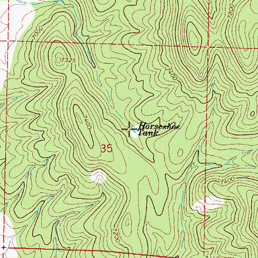 Topographic Map of Horseshoe Tank, NM